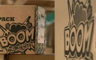 How Climate Controlled Storage Protects Your Belongings Before Summer Heat